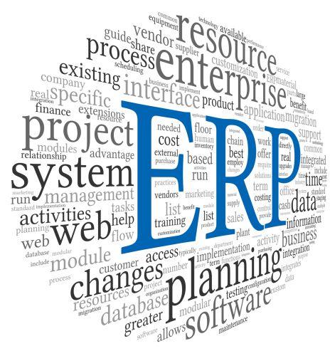 ERP Functional Analyst